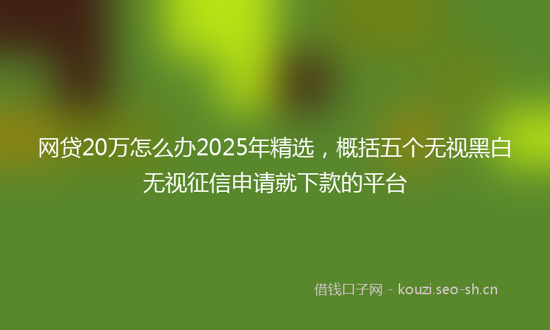 网贷20万怎么办2025年精选，概括五个无视黑白无视征信申请就下款的平台