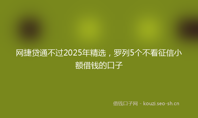 网捷贷通不过2025年精选，罗列5个不看征信小额借钱的口子