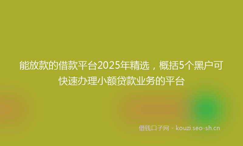 能放款的借款平台2025年精选，概括5个黑户可快速办理小额贷款业务的平台