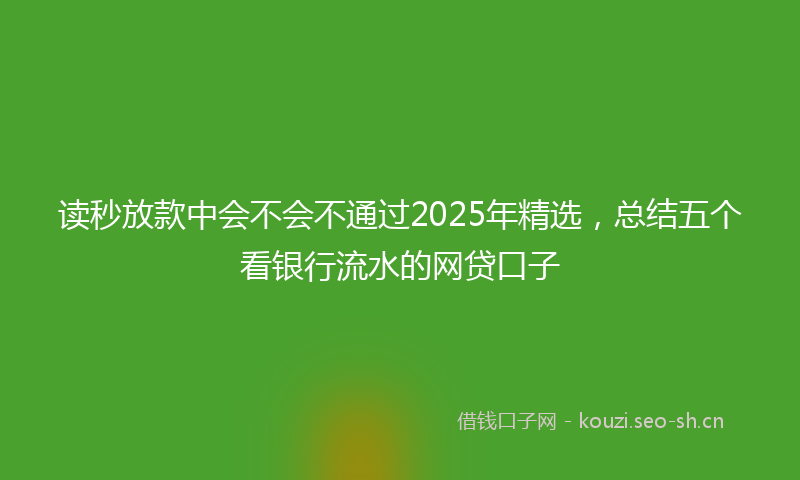 读秒放款中会不会不通过2025年精选，总结五个看银行流水的网贷口子