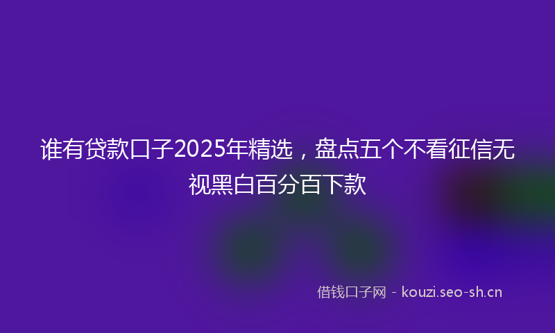 谁有贷款口子2025年精选，盘点五个不看征信无视黑白百分百下款