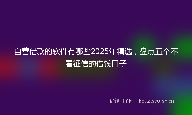 自营借款的软件有哪些2025年精选，盘点五个不看征信的借钱口子