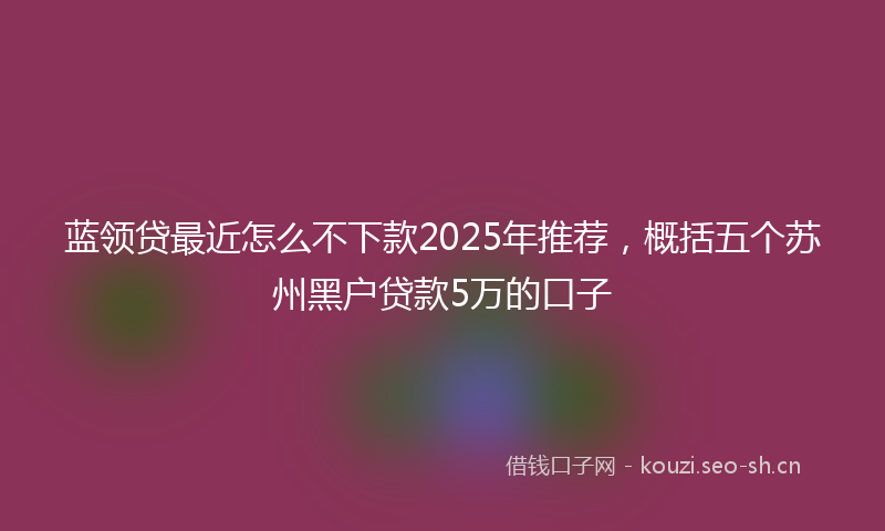 蓝领贷最近怎么不下款2025年推荐，概括五个苏州黑户贷款5万的口子