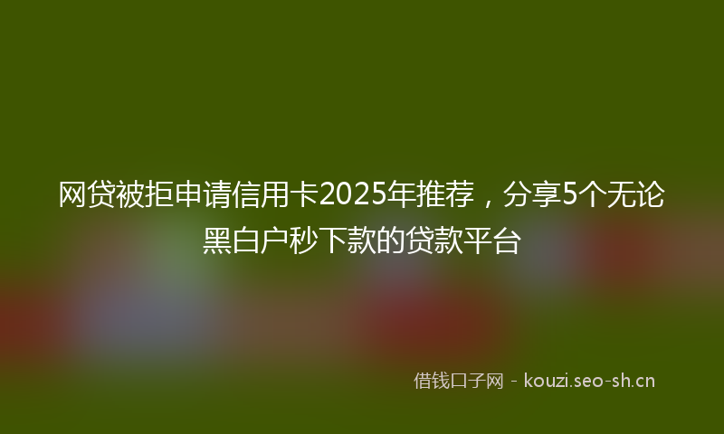 网贷被拒申请信用卡2025年推荐，分享5个无论黑白户秒下款的贷款平台