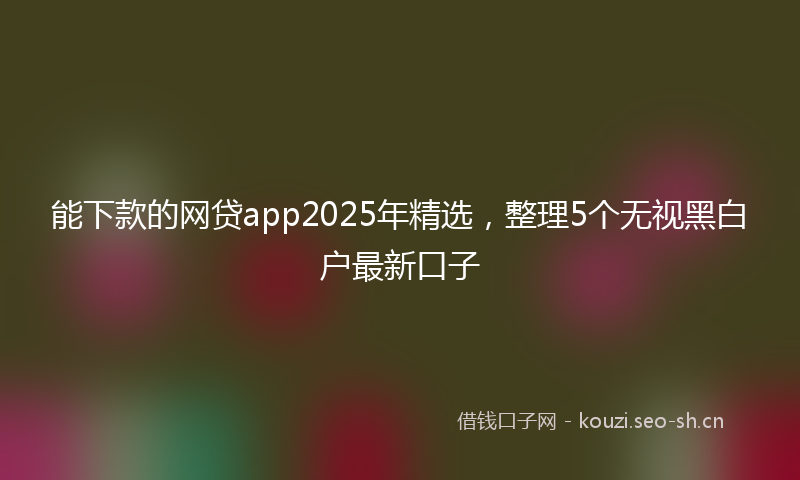 能下款的网贷app2025年精选，整理5个无视黑白户最新口子