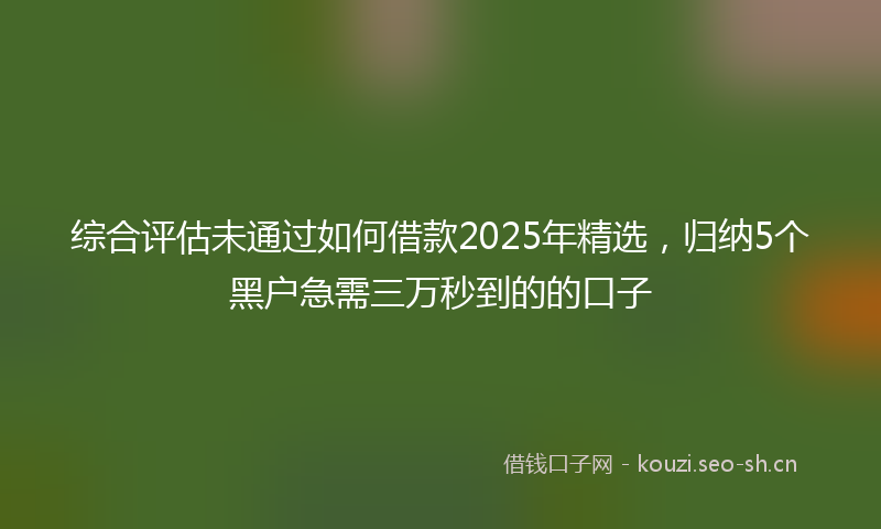 综合评估未通过如何借款2025年精选，归纳5个黑户急需三万秒到的的口子