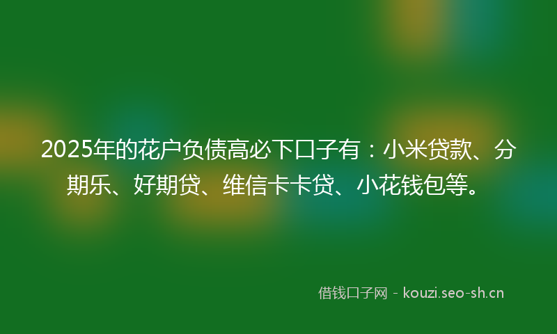2025年的花户负债高必下口子有：小米贷款、分期乐、好期贷、维信卡卡贷、小花钱包等。