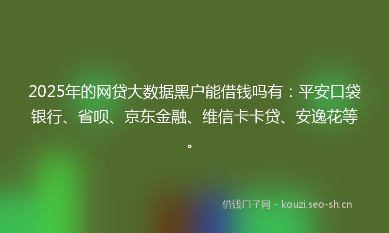 2025年的网贷大数据黑户能借钱吗有：平安口袋银行、省呗、京东金融、维信卡卡贷、安逸花等。