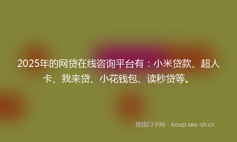 2025年的网贷在线咨询平台有：小米贷款、超人卡、我来贷、小花钱包、读秒贷等。
