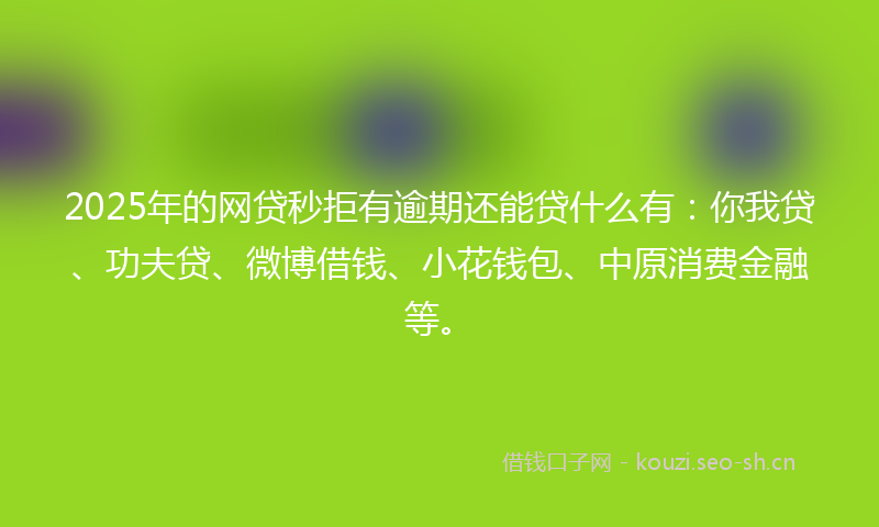 2025年的网贷秒拒有逾期还能贷什么有：你我贷、功夫贷、微博借钱、小花钱包、中原消费金融等。