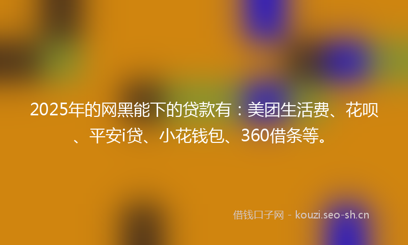 2025年的网黑能下的贷款有：美团生活费、花呗、平安i贷、小花钱包、360借条等。