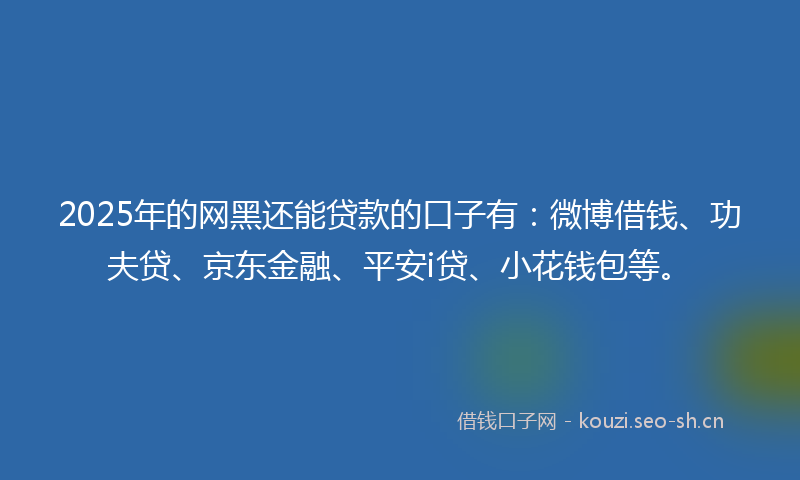 2025年的网黑还能贷款的口子有：微博借钱、功夫贷、京东金融、平安i贷、小花钱包等。