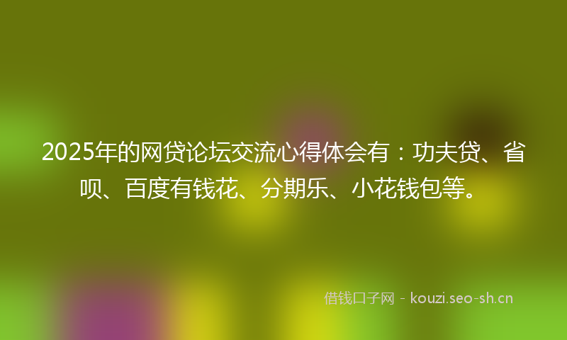 2025年的网贷论坛交流心得体会有：功夫贷、省呗、百度有钱花、分期乐、小花钱包等。