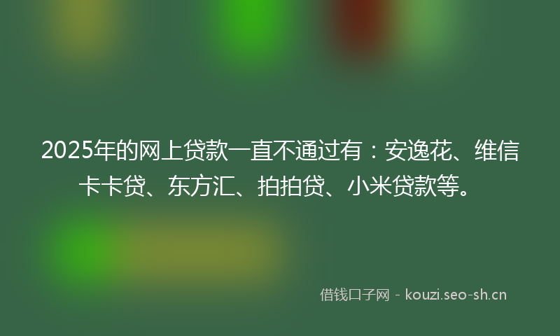 2025年的网上贷款一直不通过有：安逸花、维信卡卡贷、东方汇、拍拍贷、小米贷款等。