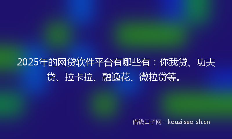 2025年的网贷软件平台有哪些有：你我贷、功夫贷、拉卡拉、融逸花、微粒贷等。