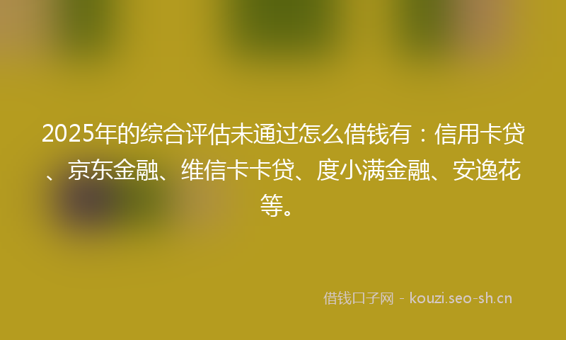 2025年的综合评估未通过怎么借钱有：信用卡贷、京东金融、维信卡卡贷、度小满金融、安逸花等。