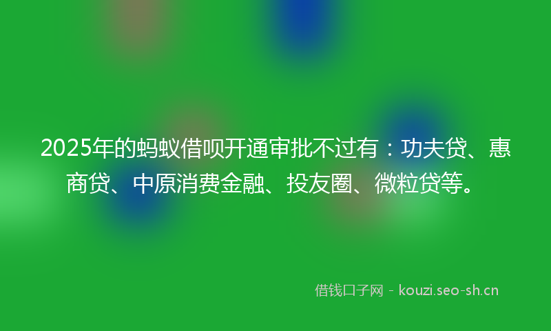 2025年的蚂蚁借呗开通审批不过有：功夫贷、惠商贷、中原消费金融、投友圈、微粒贷等。
