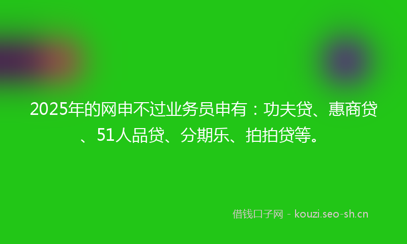 2025年的网申不过业务员申有：功夫贷、惠商贷、51人品贷、分期乐、拍拍贷等。