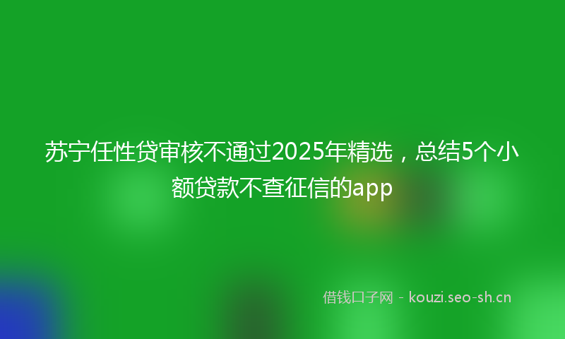 苏宁任性贷审核不通过2025年精选，总结5个小额贷款不查征信的app