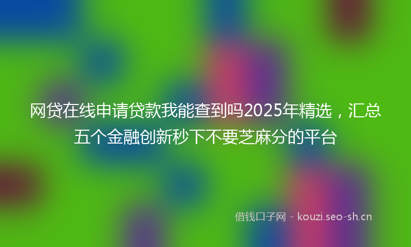 网贷在线申请贷款我能查到吗2025年精选，汇总五个金融创新秒下不要芝麻分的平台