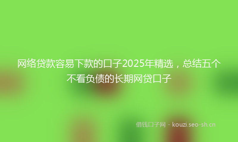 网络贷款容易下款的口子2025年精选，总结五个不看负债的长期网贷口子