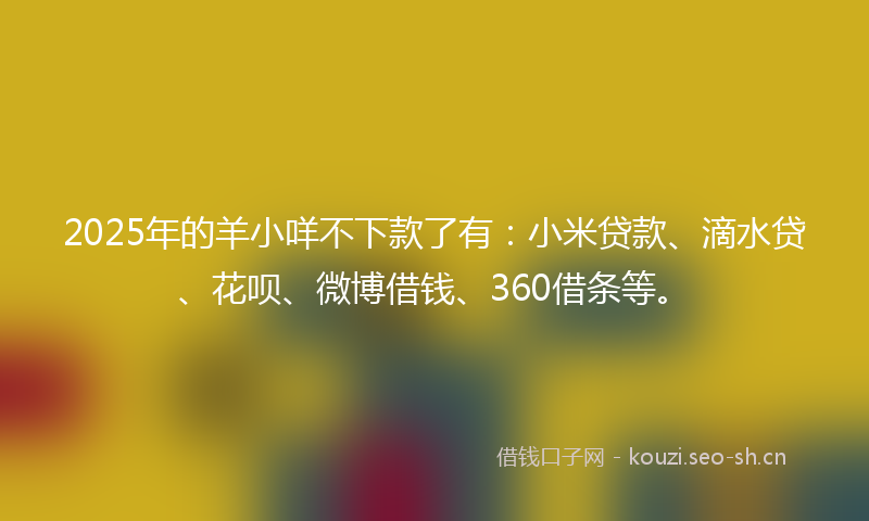 2025年的羊小咩不下款了有：小米贷款、滴水贷、花呗、微博借钱、360借条等。