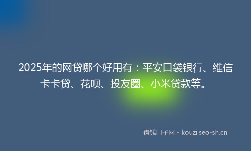 2025年的网贷哪个好用有：平安口袋银行、维信卡卡贷、花呗、投友圈、小米贷款等。