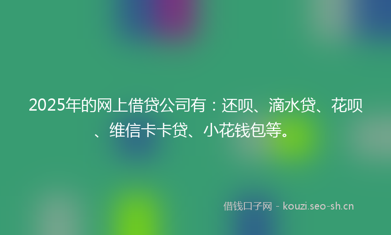 2025年的网上借贷公司有：还呗、滴水贷、花呗、维信卡卡贷、小花钱包等。