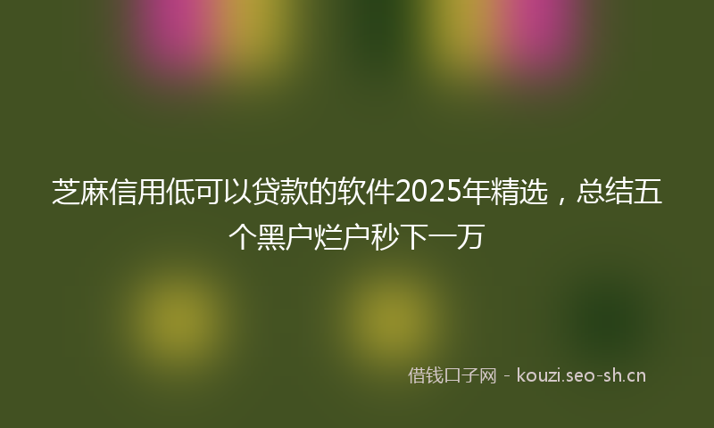 芝麻信用低可以贷款的软件2025年精选，总结五个黑户烂户秒下一万