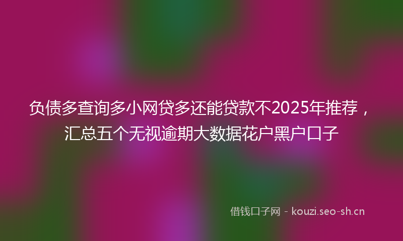 负债多查询多小网贷多还能贷款不2025年推荐，汇总五个无视逾期大数据花户黑户口子