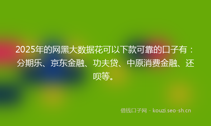 2025年的网黑大数据花可以下款可靠的口子有：分期乐、京东金融、功夫贷、中原消费金融、还呗等。