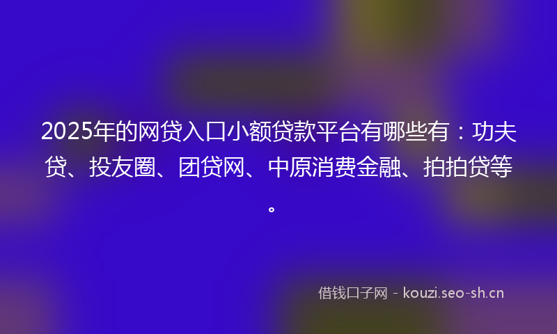 2025年的网贷入口小额贷款平台有哪些有：功夫贷、投友圈、团贷网、中原消费金融、拍拍贷等。