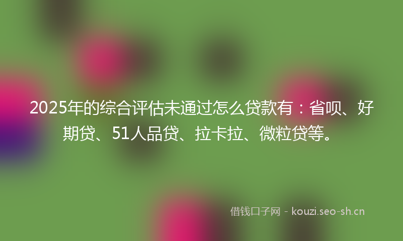 2025年的综合评估未通过怎么贷款有：省呗、好期贷、51人品贷、拉卡拉、微粒贷等。