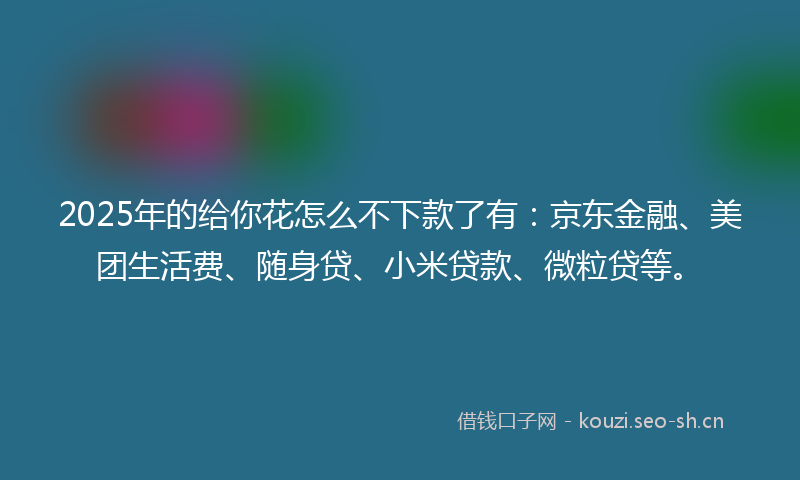 2025年的给你花怎么不下款了有：京东金融、美团生活费、随身贷、小米贷款、微粒贷等。