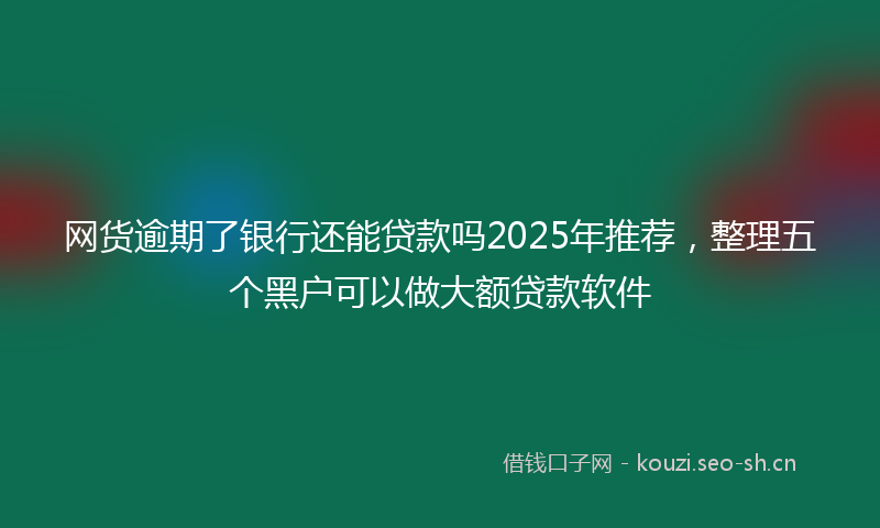 网货逾期了银行还能贷款吗2025年推荐，整理五个黑户可以做大额贷款软件