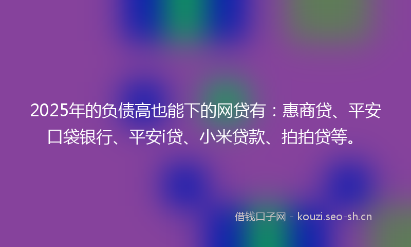 2025年的负债高也能下的网贷有：惠商贷、平安口袋银行、平安i贷、小米贷款、拍拍贷等。