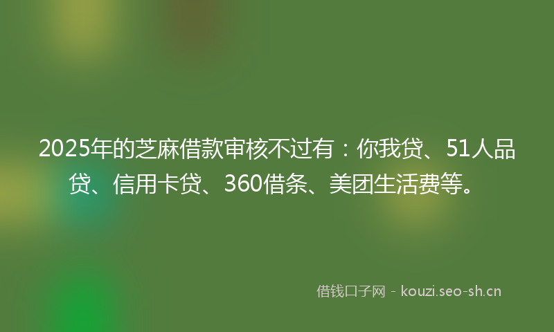 2025年的芝麻借款审核不过有：你我贷、51人品贷、信用卡贷、360借条、美团生活费等。