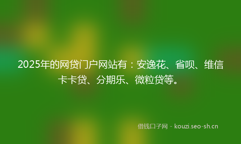 2025年的网贷门户网站有：安逸花、省呗、维信卡卡贷、分期乐、微粒贷等。