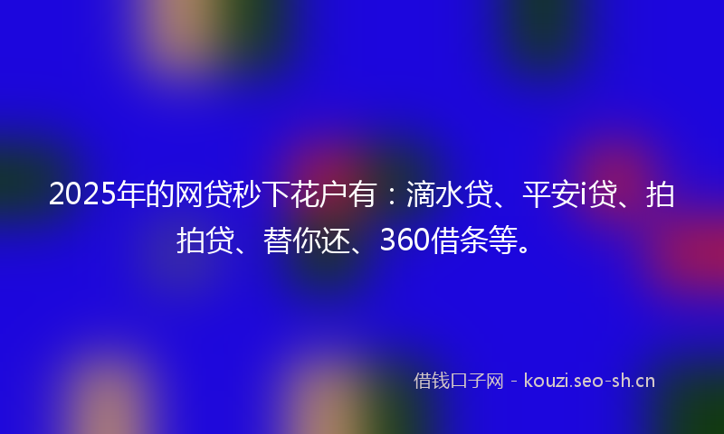 2025年的网贷秒下花户有：滴水贷、平安i贷、拍拍贷、替你还、360借条等。