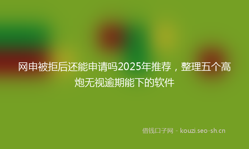网申被拒后还能申请吗2025年推荐，整理五个高炮无视逾期能下的软件