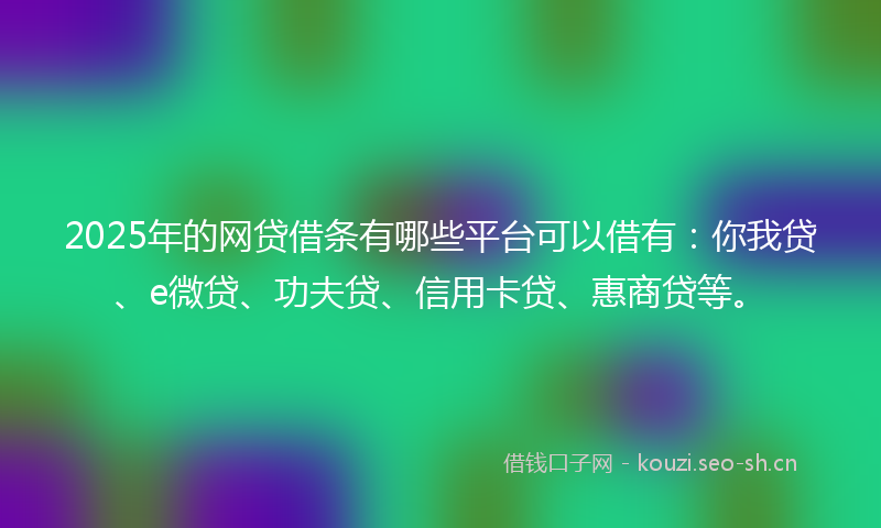 2025年的网贷借条有哪些平台可以借有：你我贷、e微贷、功夫贷、信用卡贷、惠商贷等。