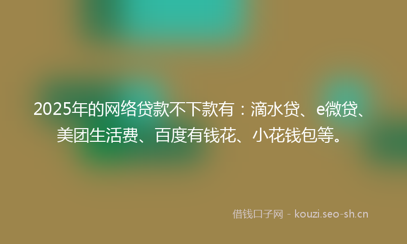 2025年的网络贷款不下款有：滴水贷、e微贷、美团生活费、百度有钱花、小花钱包等。