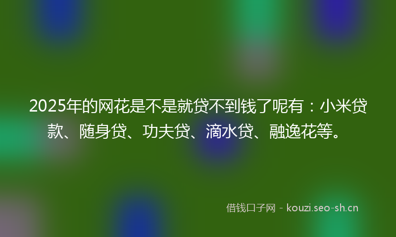 2025年的网花是不是就贷不到钱了呢有:小米贷款、随身贷、功夫贷、滴水贷、融逸花等。