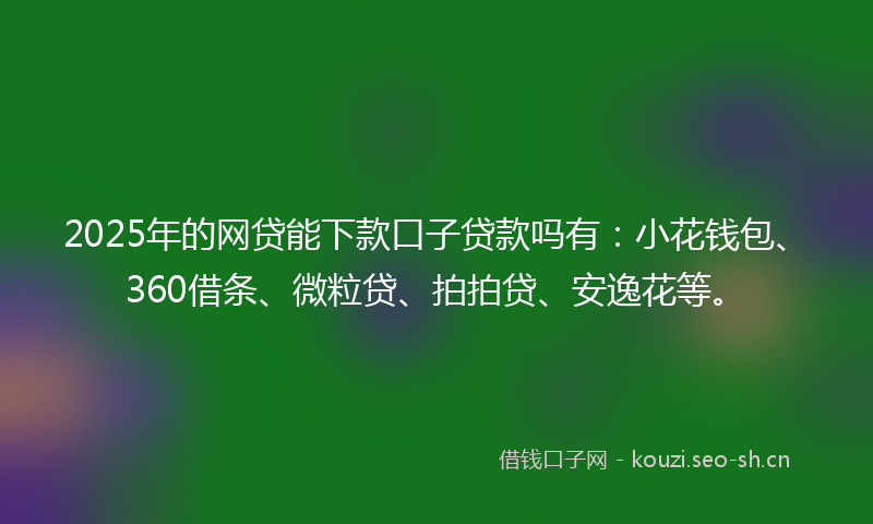 2025年的网贷能下款口子贷款吗有：小花钱包、360借条、微粒贷、拍拍贷、安逸花等。