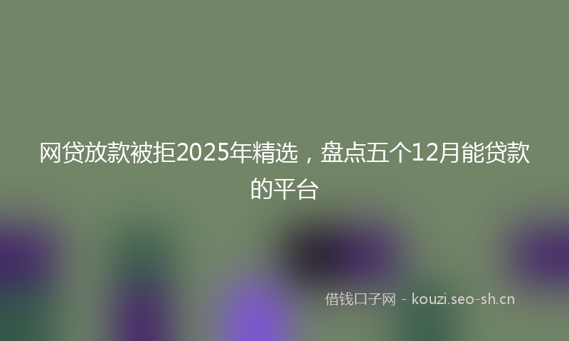 网贷放款被拒2025年精选，盘点五个12月能贷款的平台