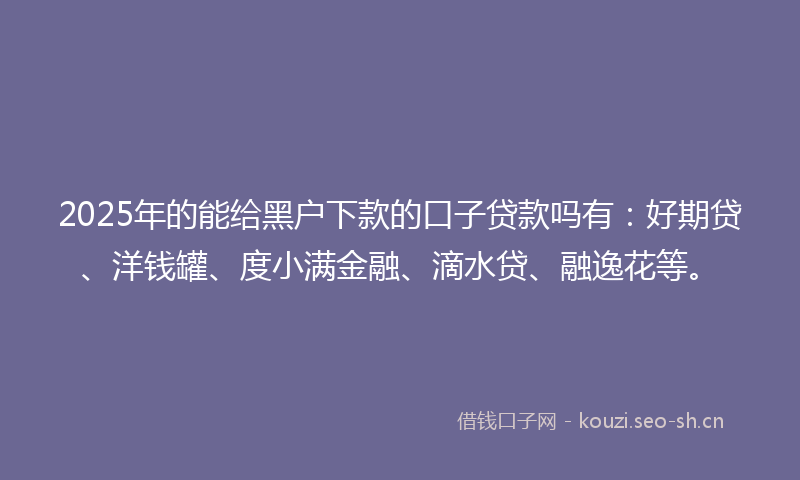 2025年的能给黑户下款的口子贷款吗有：好期贷、洋钱罐、度小满金融、滴水贷、融逸花等。