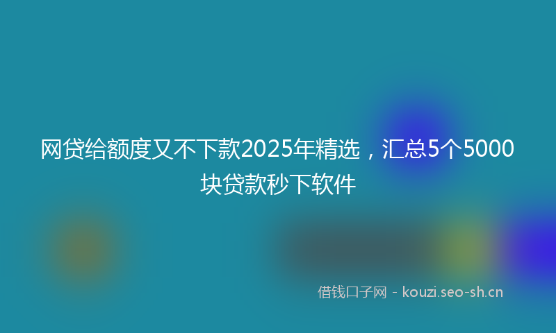 网贷给额度又不下款2025年精选，汇总5个5000块贷款秒下软件