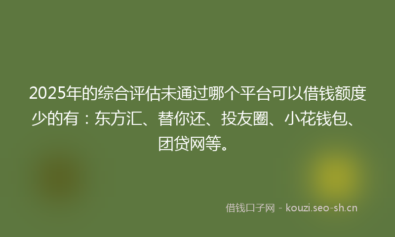 2025年的综合评估未通过哪个平台可以借钱额度少的有：东方汇、替你还、投友圈、小花钱包、团贷网等。