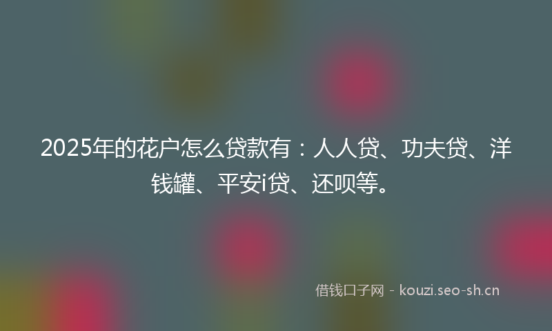 2025年的花户怎么贷款有：人人贷、功夫贷、洋钱罐、平安i贷、还呗等。