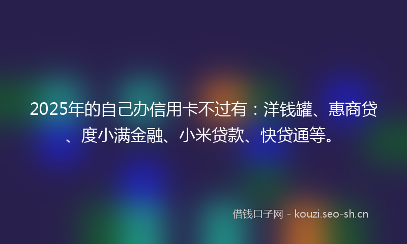 2025年的自己办信用卡不过有：洋钱罐、惠商贷、度小满金融、小米贷款、快贷通等。